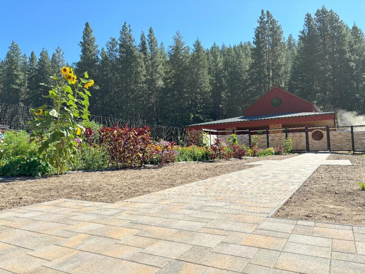 path through garden