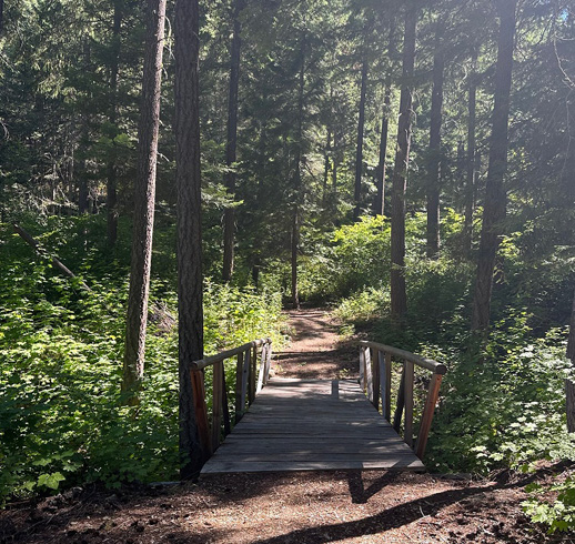 Bridge Trails