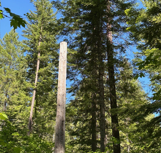 ropescourse