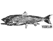 yodelin